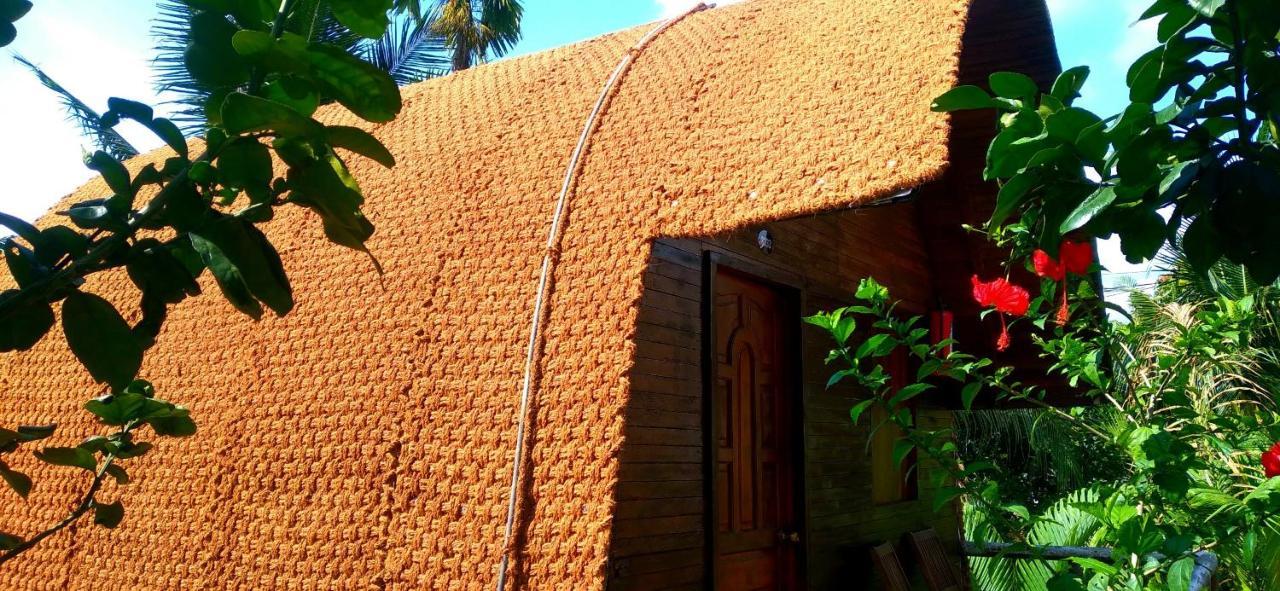 Hong Thai River Side Homestay Ben Tre Zewnętrze zdjęcie